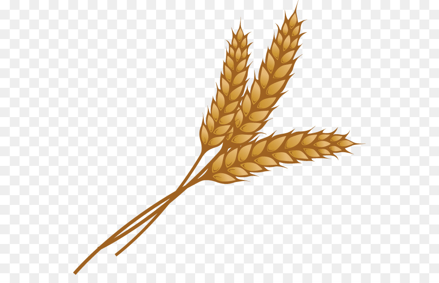 Wheat Clipart And Other Clipart Images On Cliparts Pub