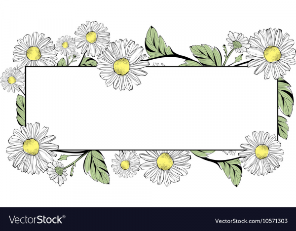Clipart Flowers Border Daisy Pictures On Cliparts Pub