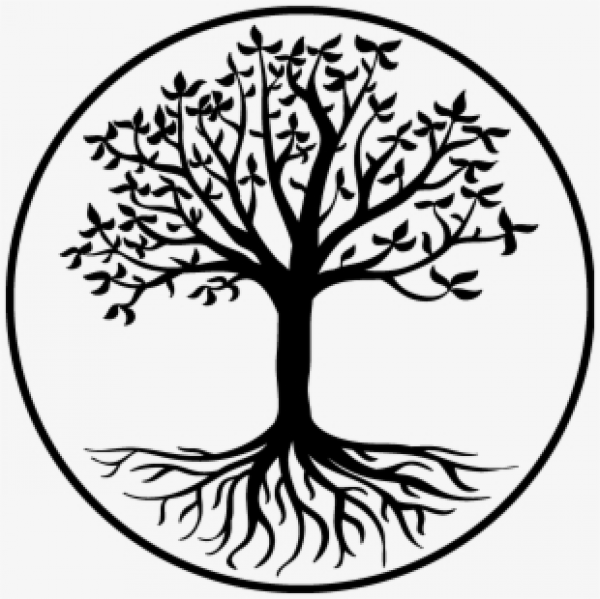 Circle Clip Art Tree Of Life