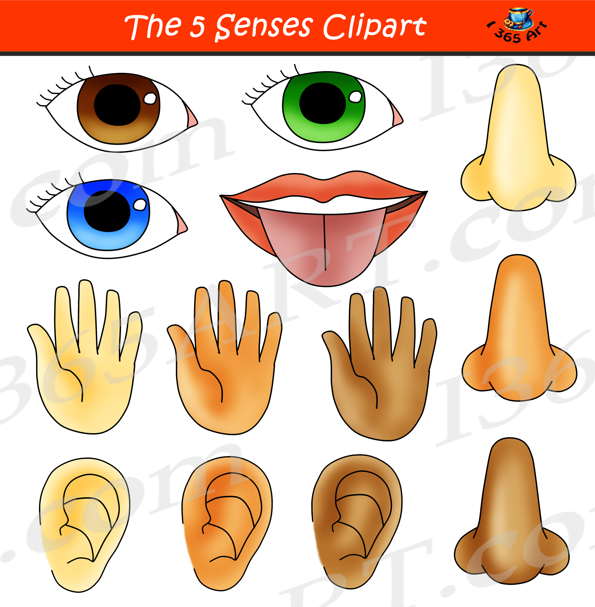 5 Senses Clipart Bundle Graphic Set