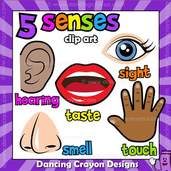 Five senses clip.