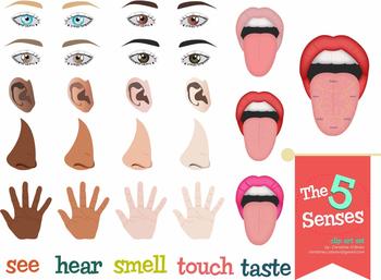 The Five Senses Clip Art Set