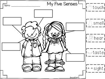 FUN Five Senses Activities for Kindergarten