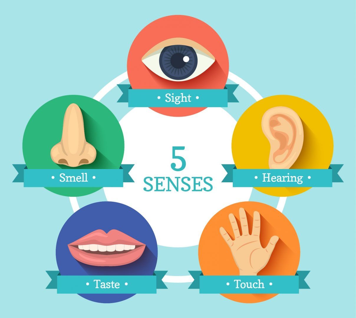 Senses clipart sensory.