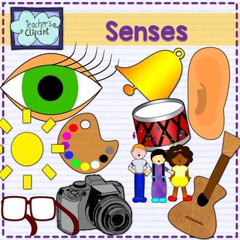 Five Senses clipart