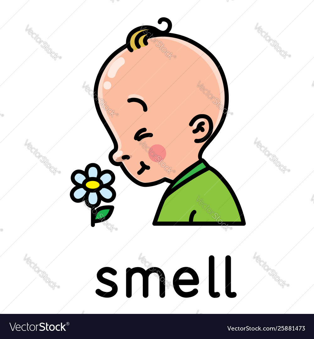 Smell icon one five senses