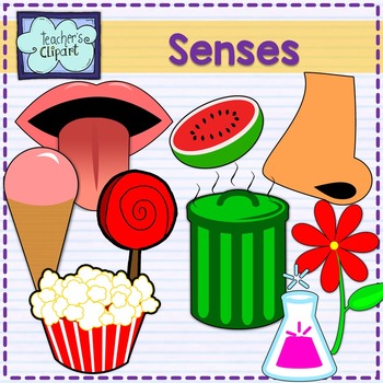 Five Senses clipart
