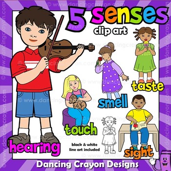 Five senses clip.