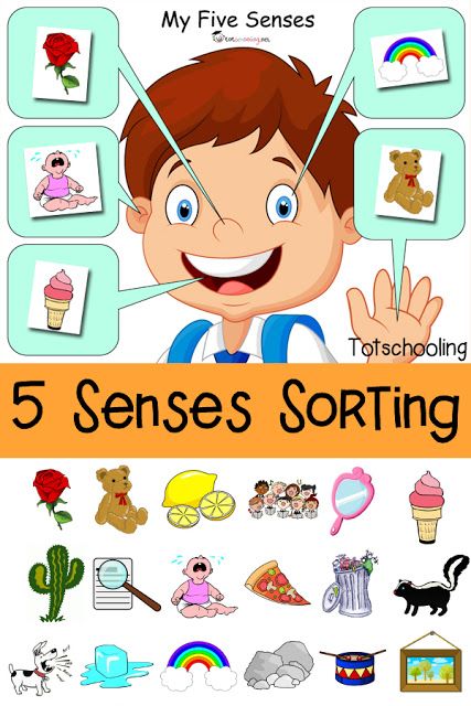 Five Senses Sorting Printable