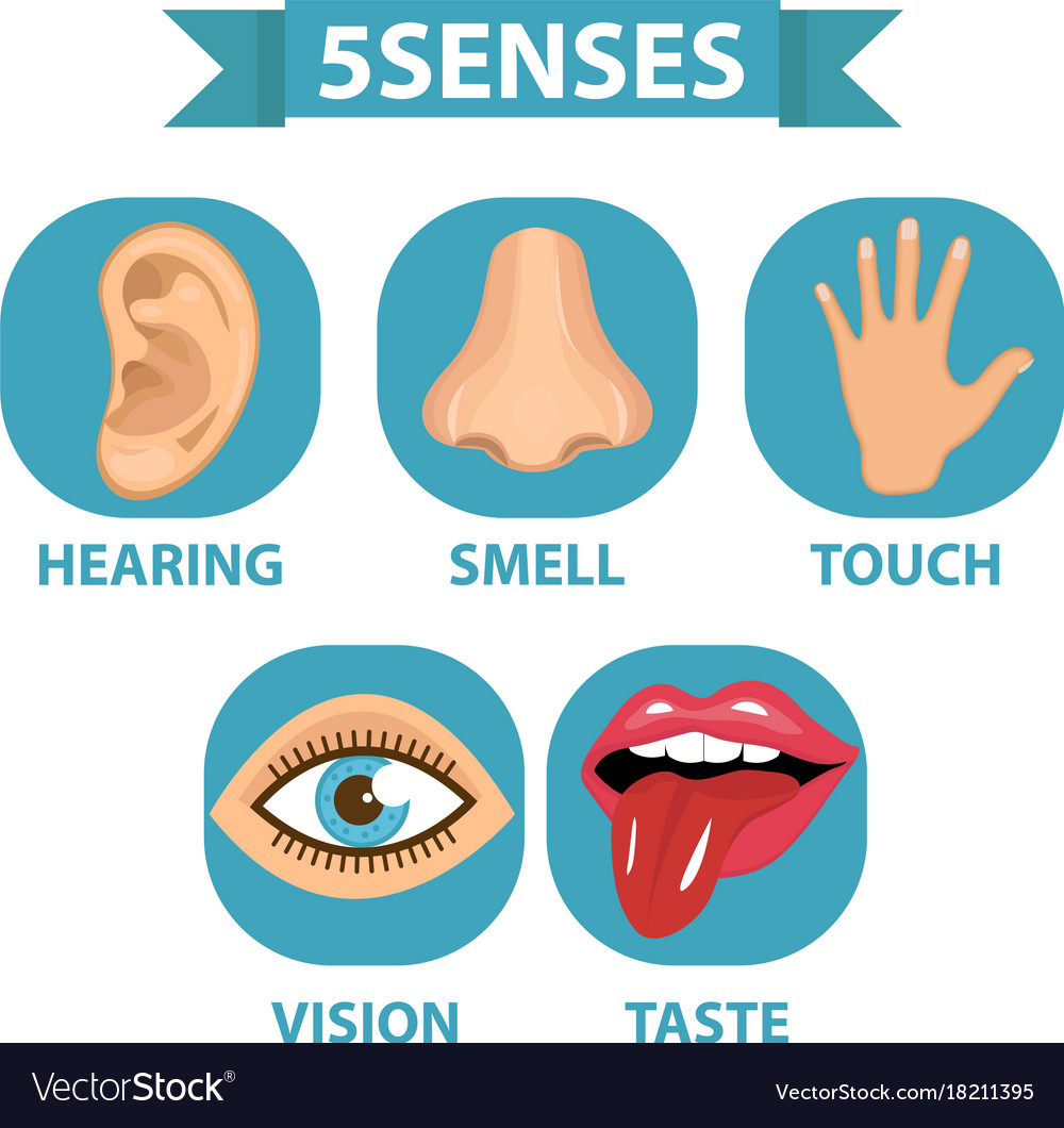 Senses icon set.