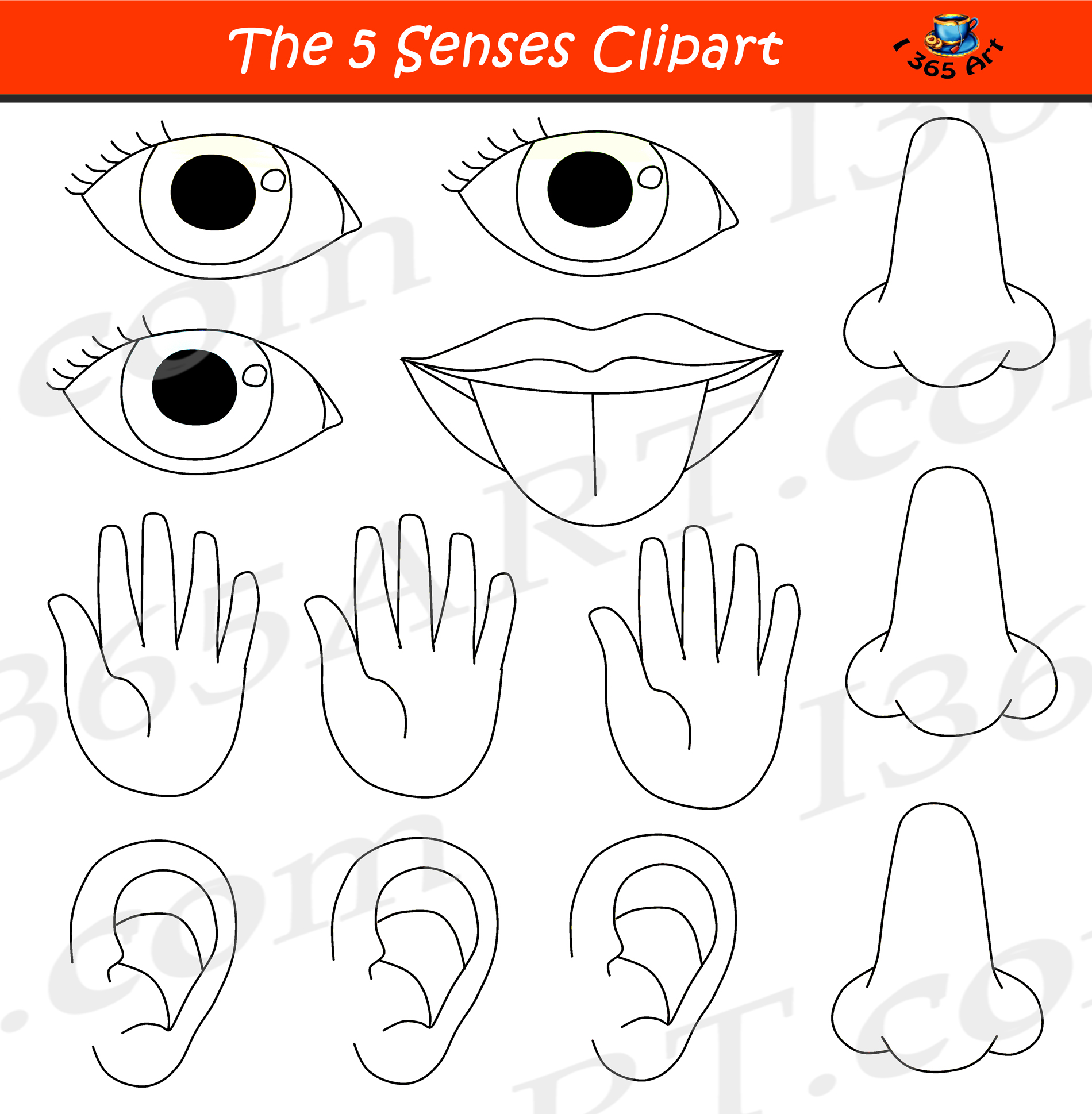 5 Senses Clipart Bundle Graphic Set