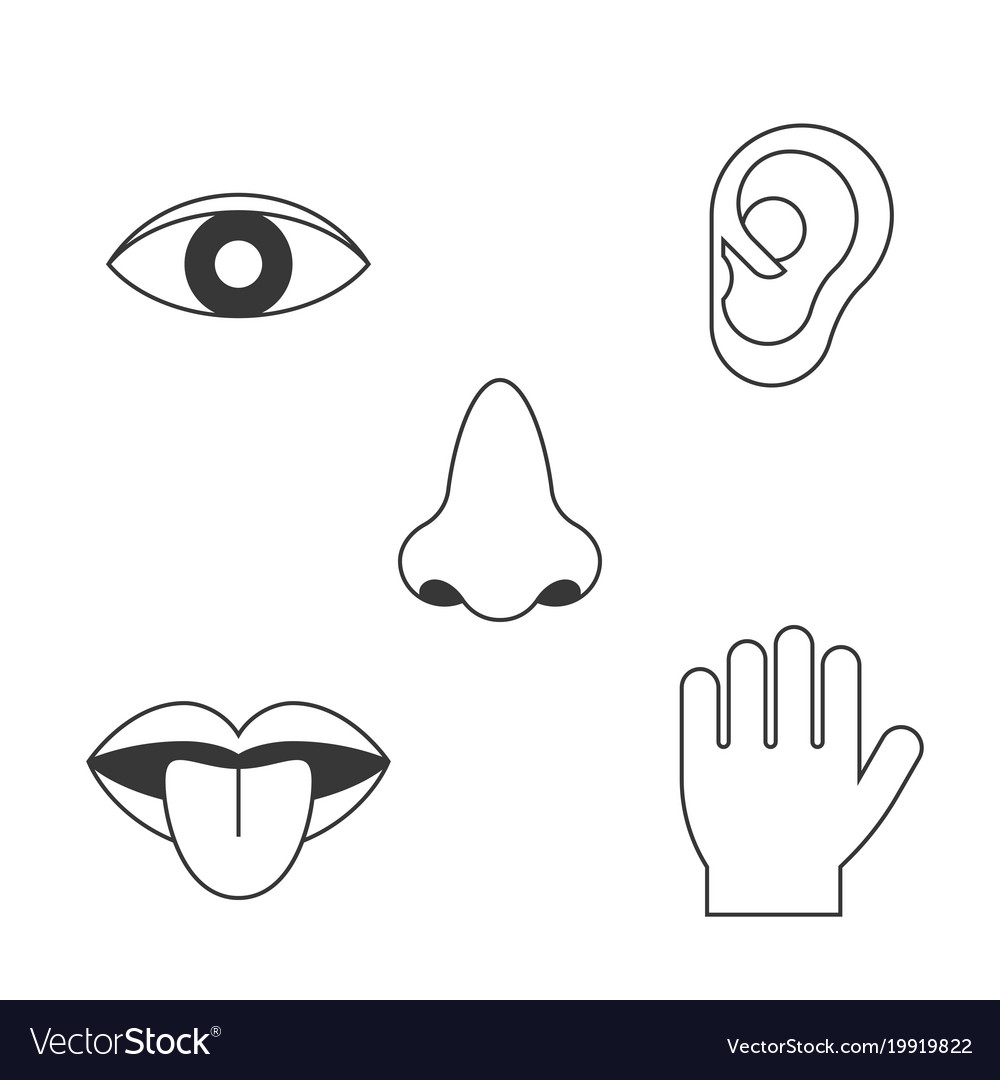 Five senses icon