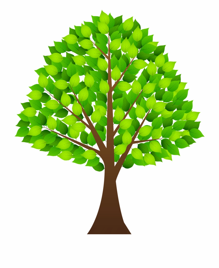 a clipart tree