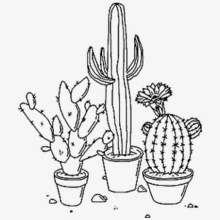 Cactus clipart aesthetic.
