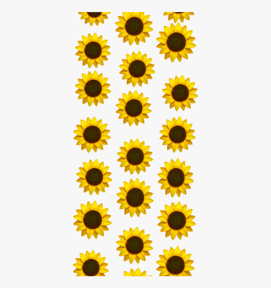 Aesthetic Sunflower Transparent Background