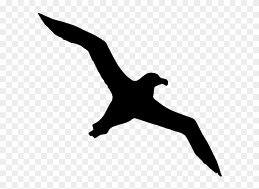 Albatross silhouette clipart.