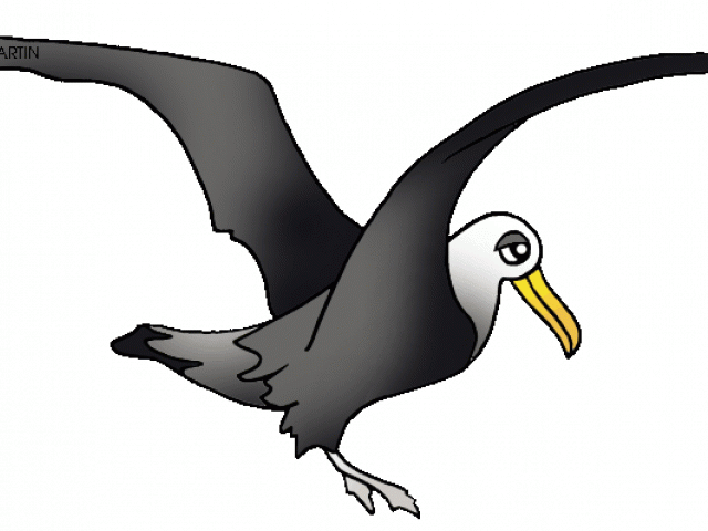 albatross clipart cartoon