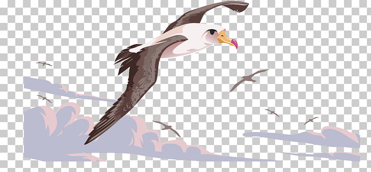 Bird Flight Beak Albatross, The flying crane PNG clipart