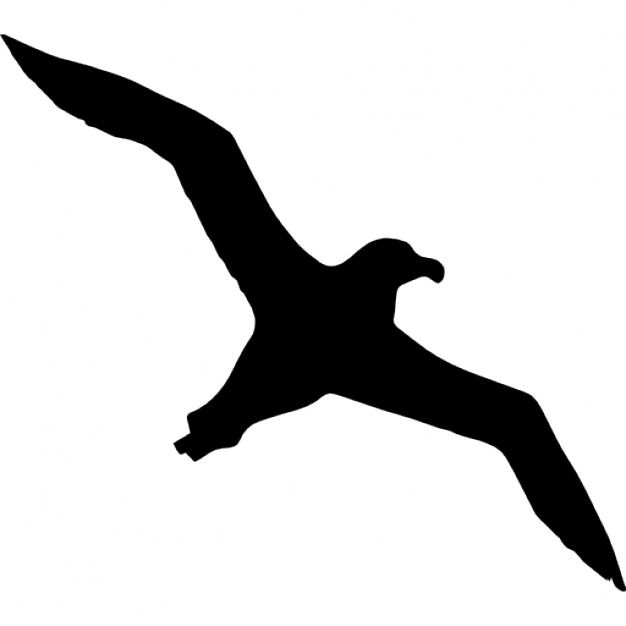 Silhouette flying albatross.