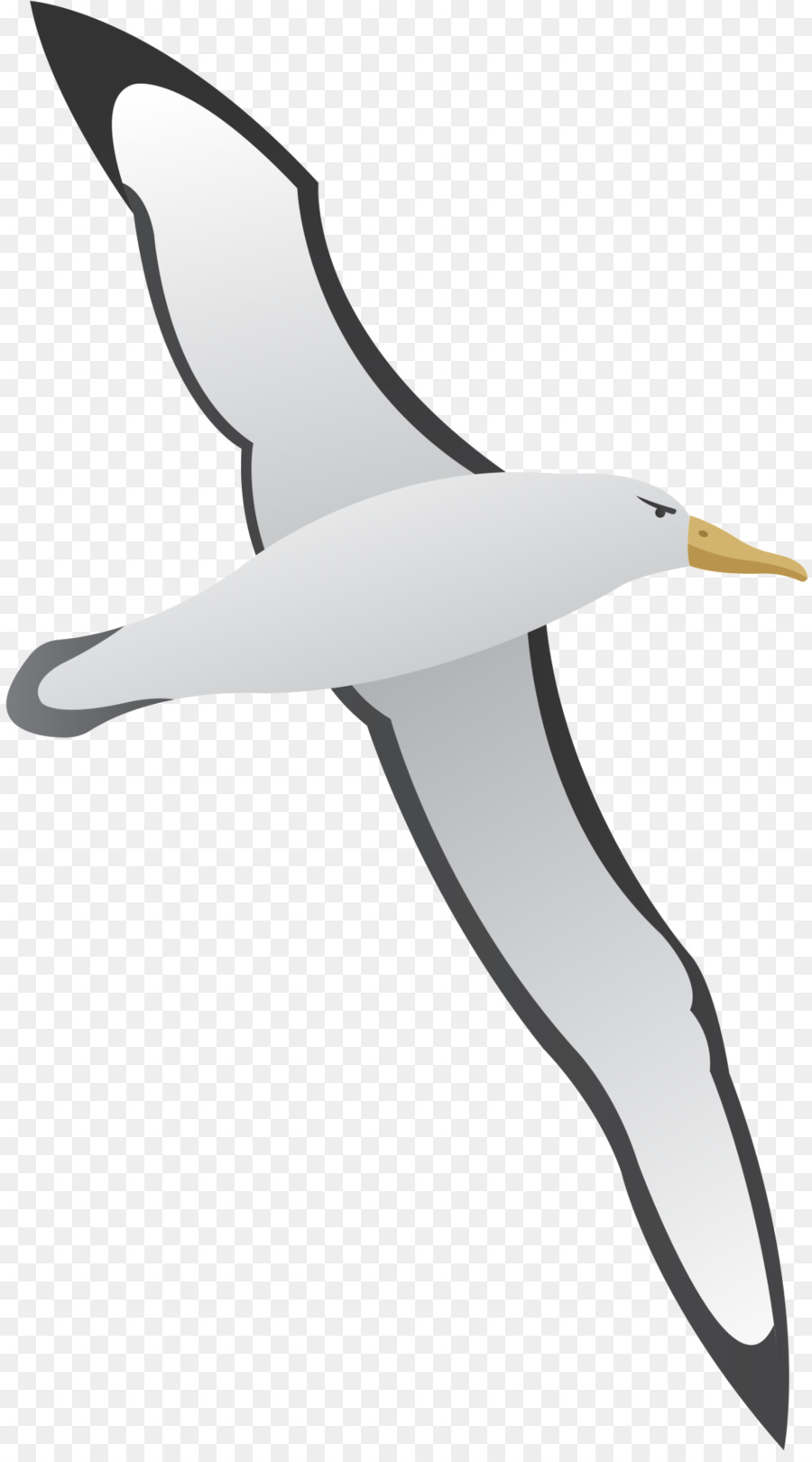 Gulls clip art.