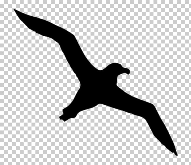Albatross Silhouette, bird outline artwork PNG clipart