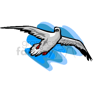 Albatross midflight clipart.