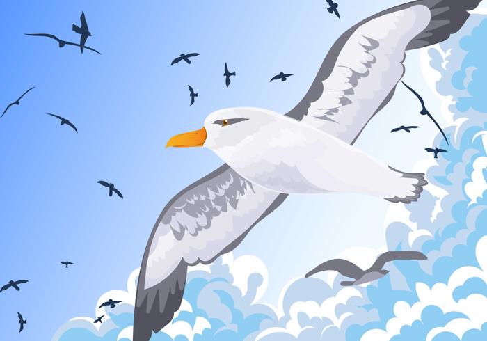 Free Albatross Clipart seagal, Download Free Clip Art on