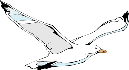 Seagull Clipart
