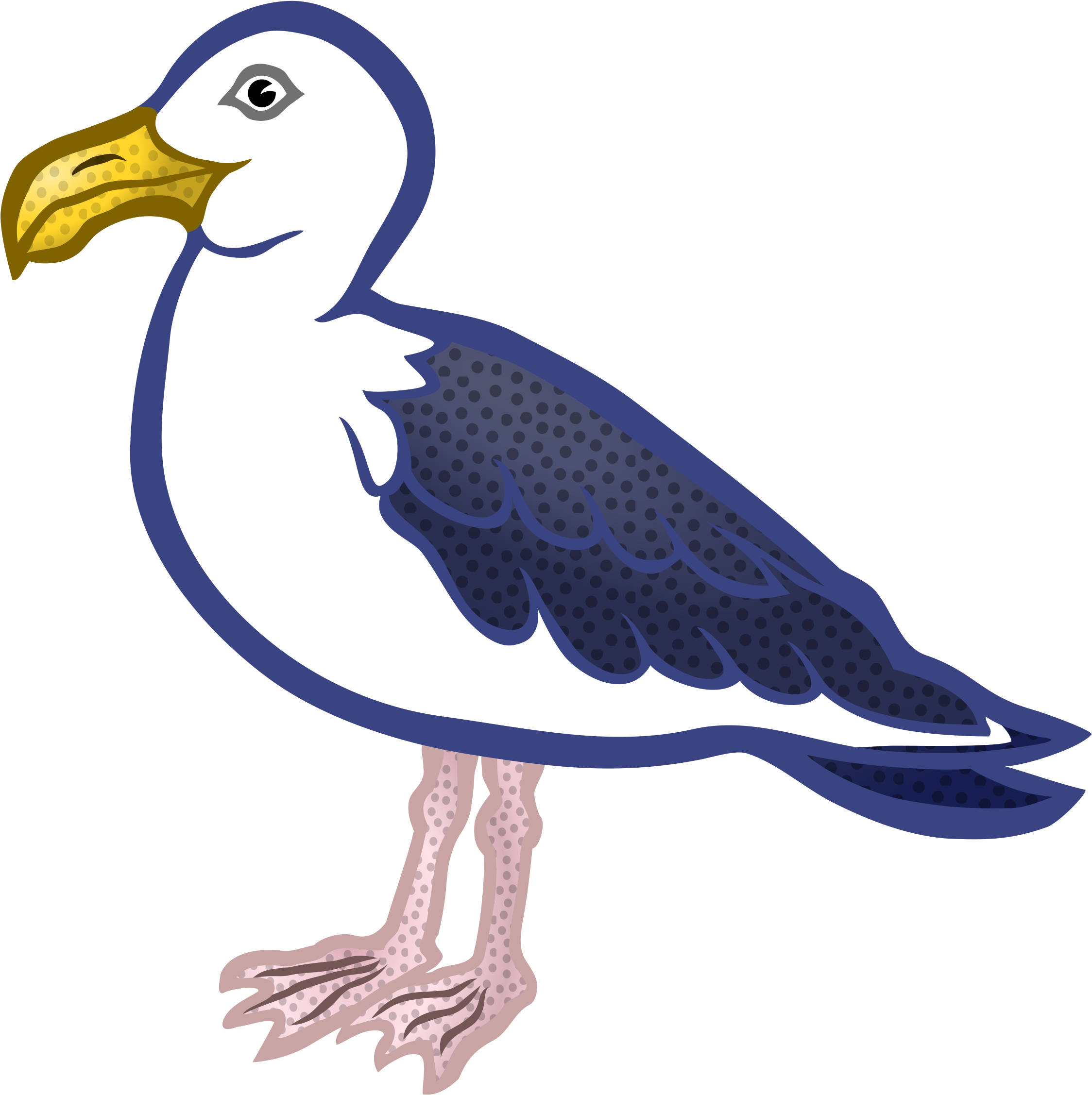 Gull Clipart Gull Clipart