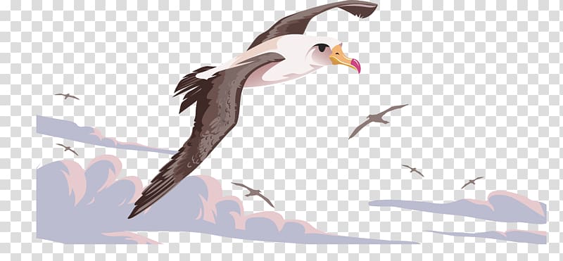 Bird Flight Beak Albatross, The flying crane transparent