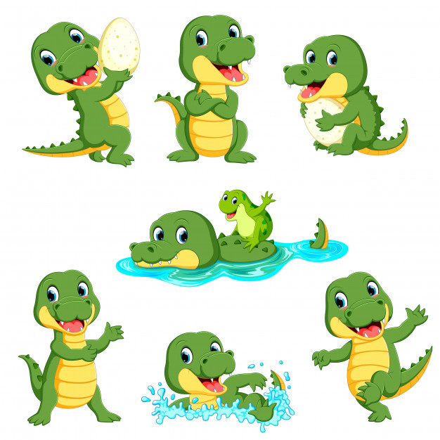 Collection of cute alligator character cartoon Vector