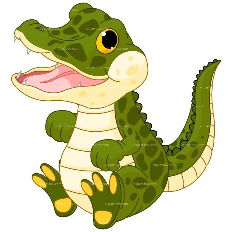 Clipart baby alligator.