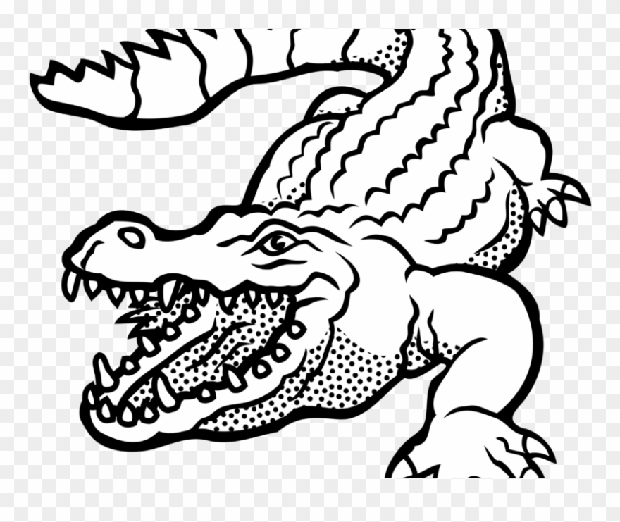 Alligator Clipart Images Black And White Free Download