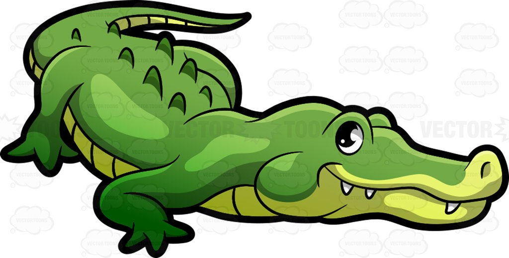 Cartoon pictures alligators.
