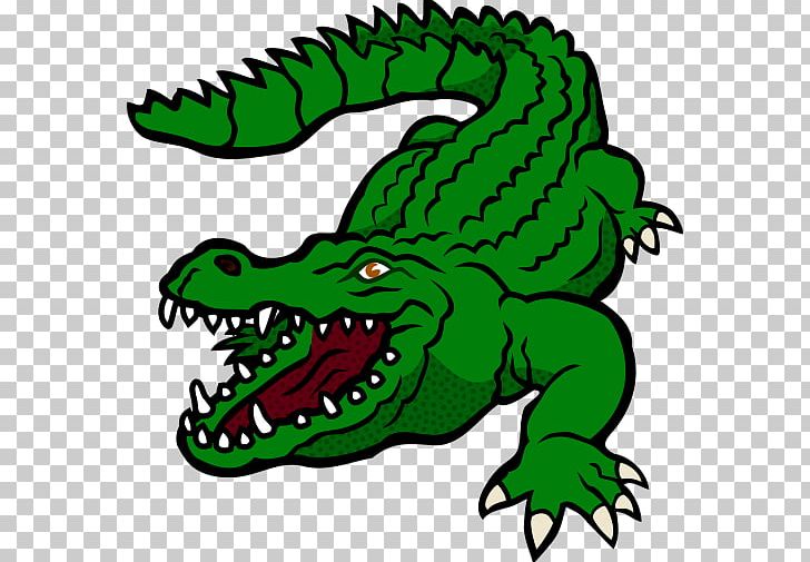 Alligators nile crocodile.