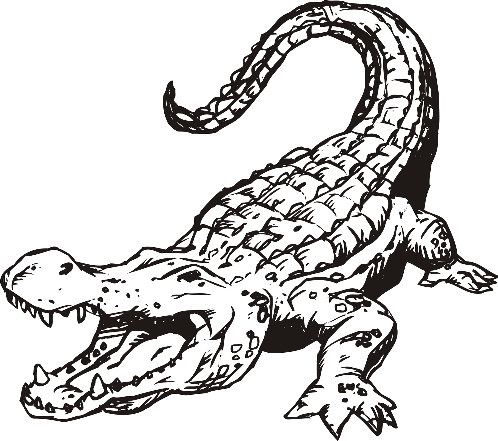 Alligator black and white cute alligator face clipart png