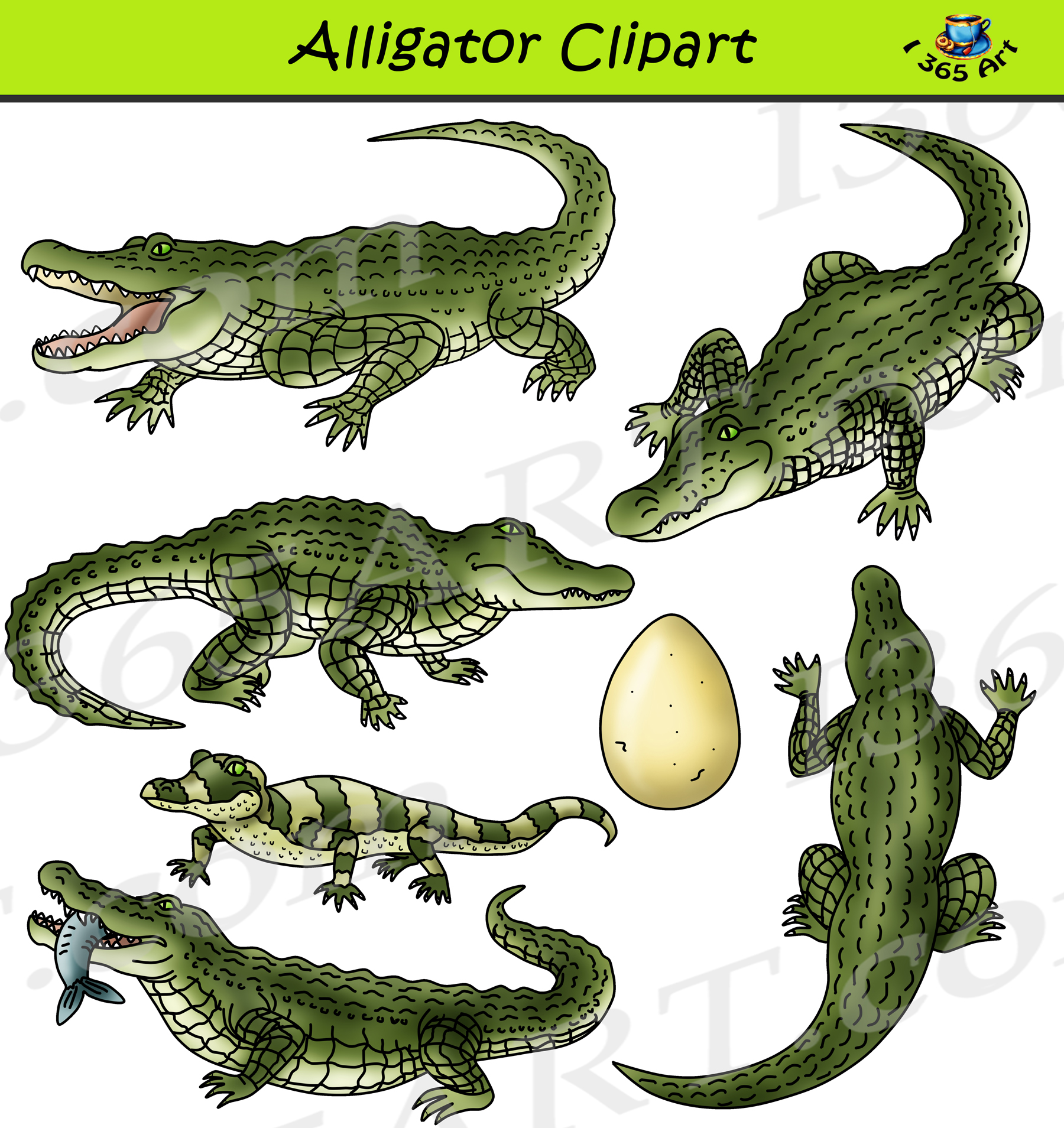 Alligator clipart set.
