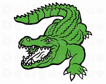 Gator clipart, Gator Transparent FREE for download on