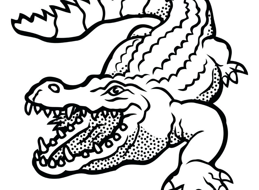 Collection alligator clipart.
