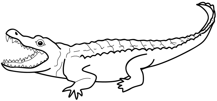 Alligator Clip Art Black and White