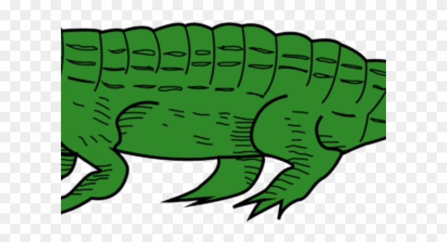 Swimming Clipart Alligator