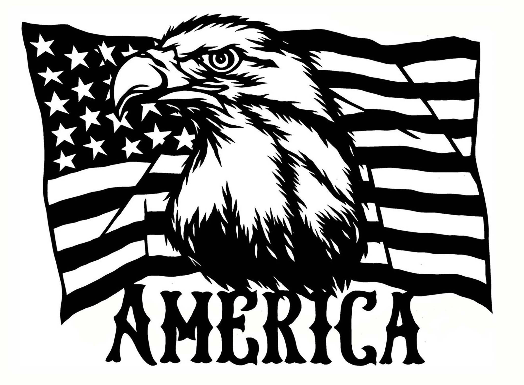 American flag eagle.