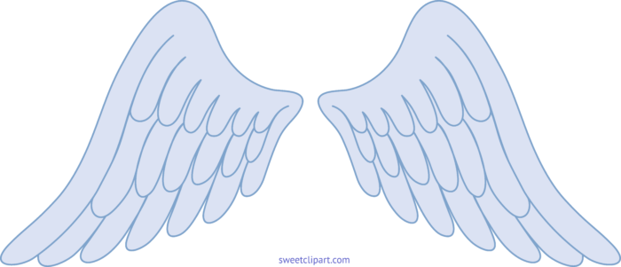 Angel wings blue.