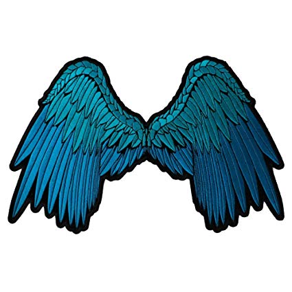 Amazoncom angel wings.