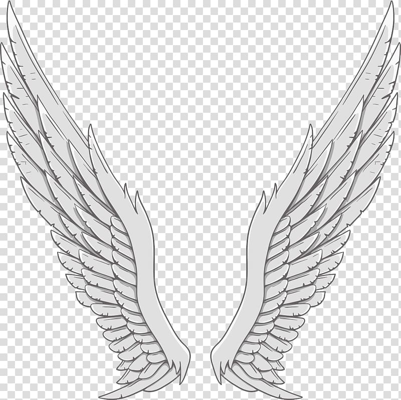 angel wings clipart clear background