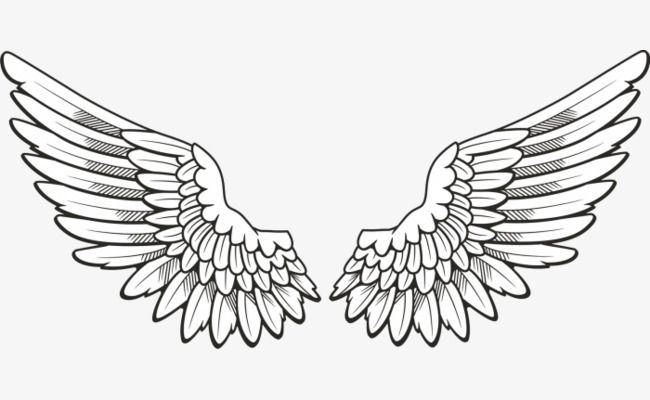 Hand Painted Angel Wings