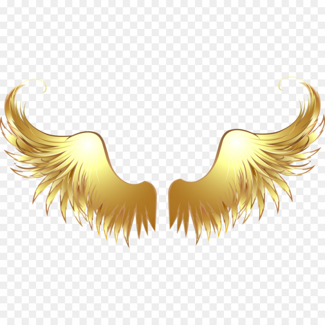 Gold Angel Wings Clip Art