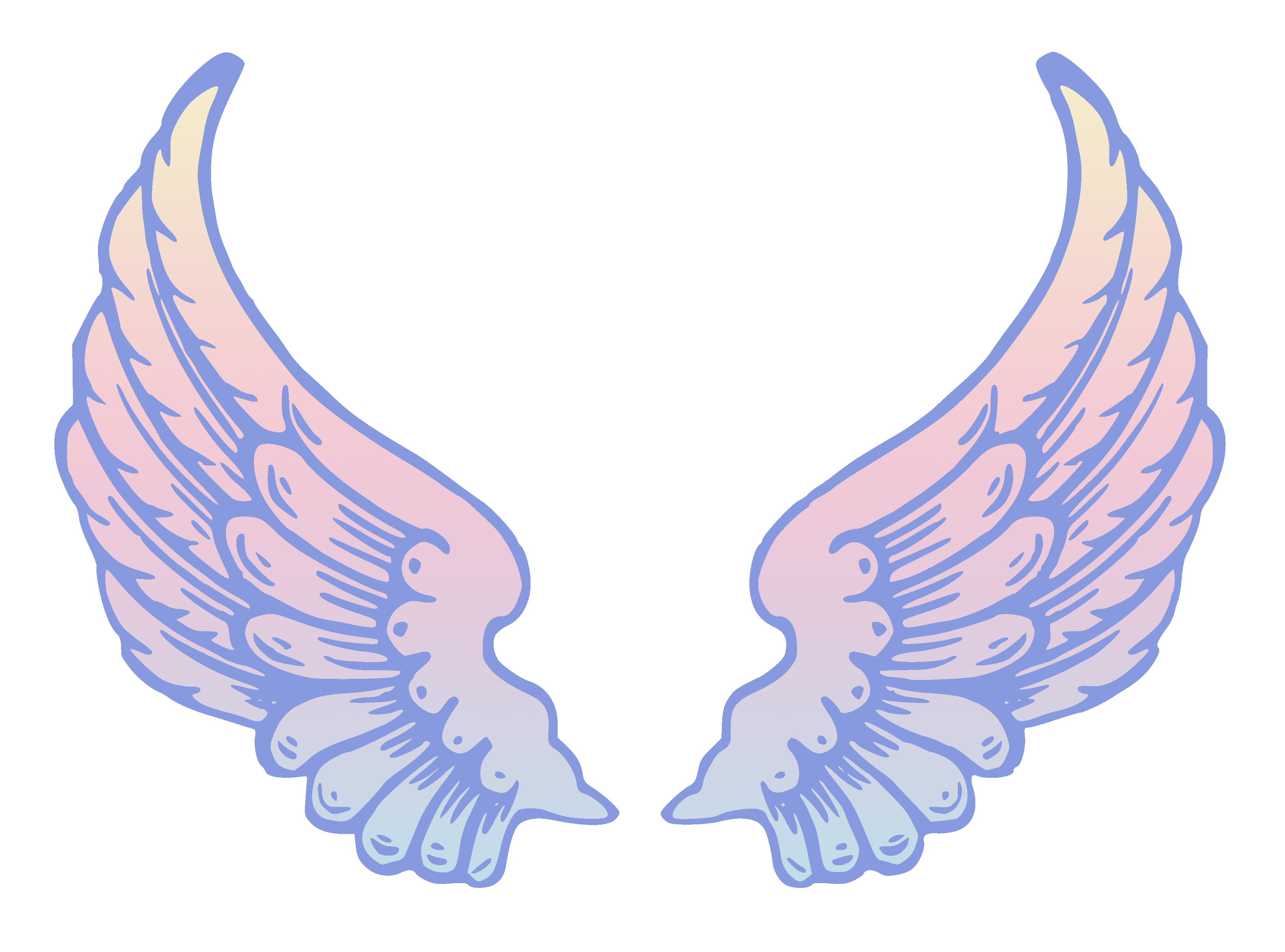 Angel wings halo.