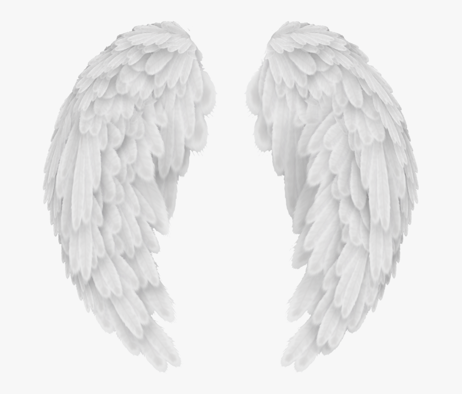 Wings Png Images Free Download, Angel Wings Png Clip