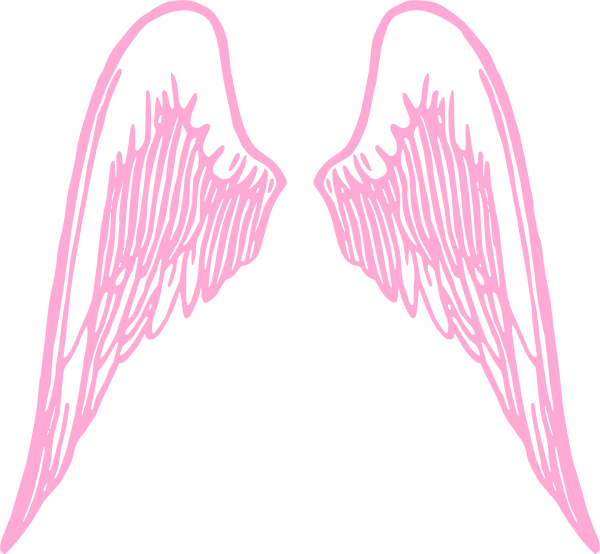Pink angelwings clip.